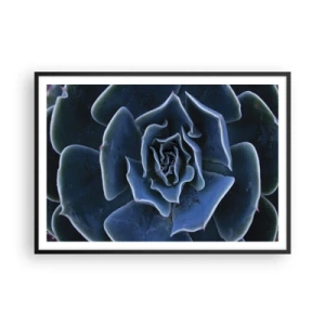 Affisch i svart ram - Öknens blomma - 100x70 cm