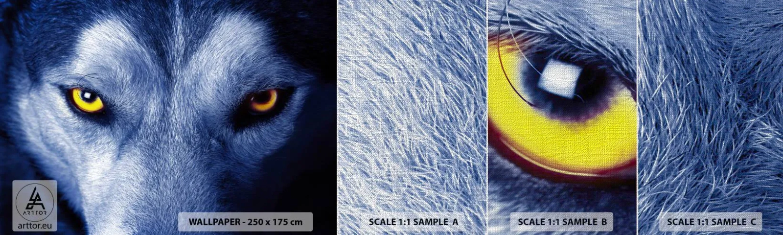 Provbit av fototapet Premium Canvas - Hypnotiserade titt - Djur, Varg, Ögon - 100x30 cm