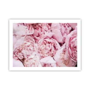 Affisch - Hopklämda och doftande - 70x50 cm