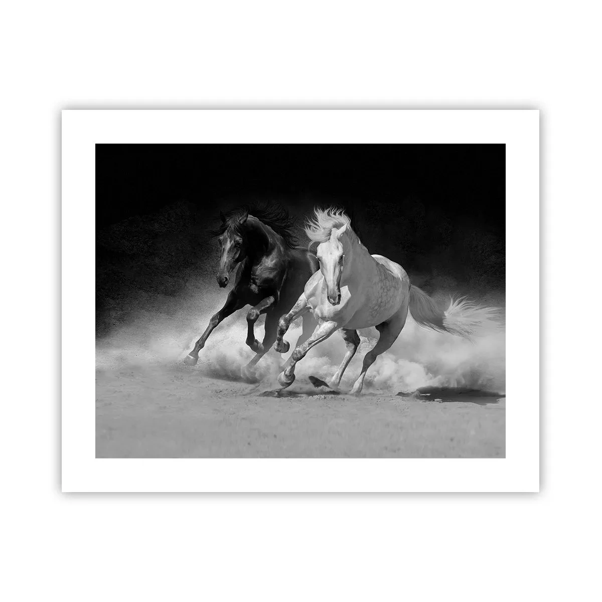 Affisch - Frihetens galopp - 50x40 cm