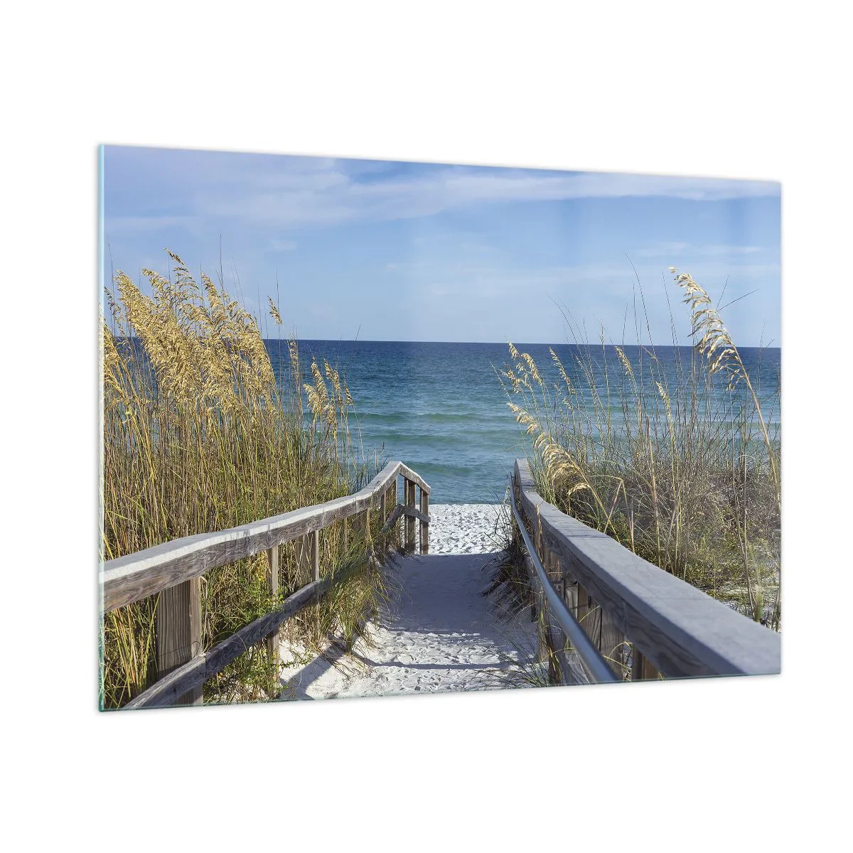 Glastavla - Bild på glas - I solen, i vinden - 100x70 cm