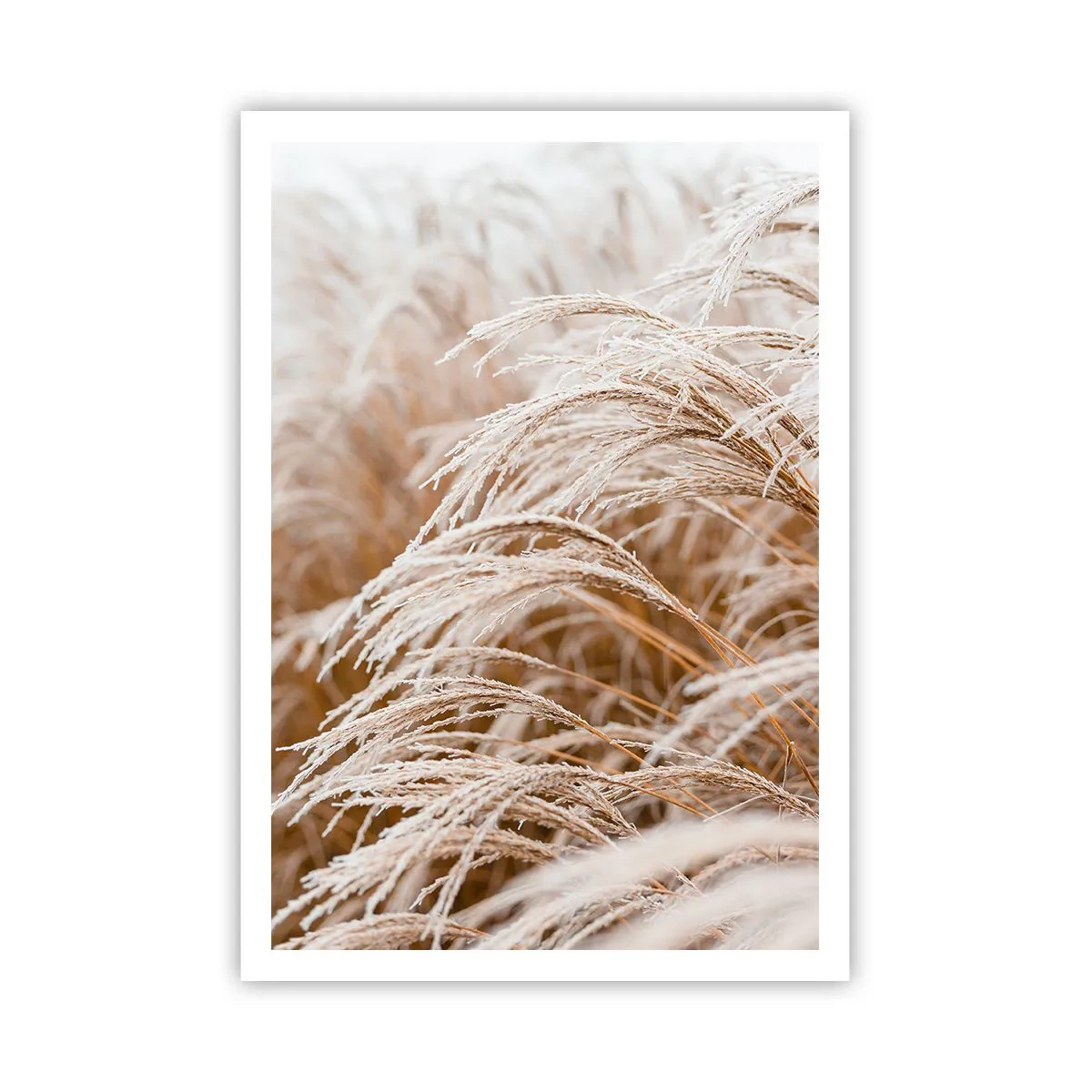 Affisch - Buga för höstsolen - 70x100 cm