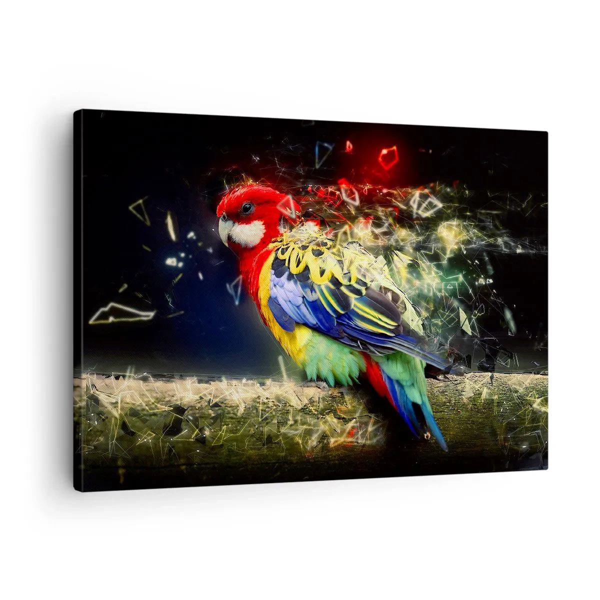 Canvastavla - Bild på duk - En papegoja i livfulla färger mot en bakgrund av ljuseffekter - 70x50cm - Skenets bud - Modern väggdekoration för vardagsrum och sovrum ARTTOR