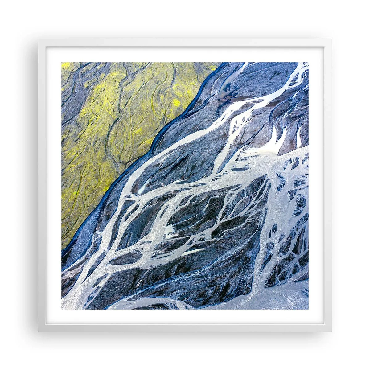 Affisch i vit ram - Naturens grottmålningar - 60x60 cm