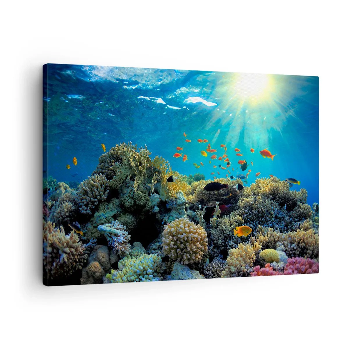Canvastavla - Bild på duk - Korallrev med fisk i solens strålar under vattnet - 70x50cm - Undervatenskatter - Modern väggdekoration för vardagsrum och sovrum ARTTOR