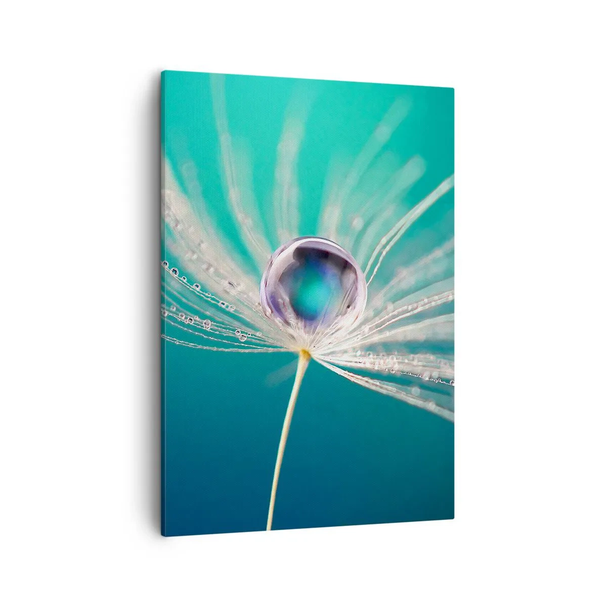 Canvastavla - Bild på duk - Mystisk stund - 50x70 cm