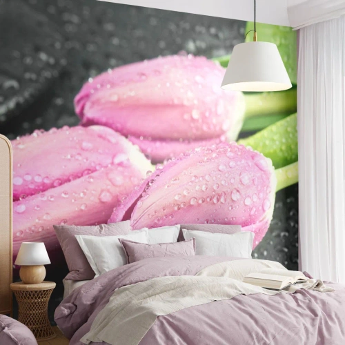 Fototapet Premium Canvas - Tre i lila färg på en sten - Blommor, Tulpaner, Blombukett - 250x175 cm