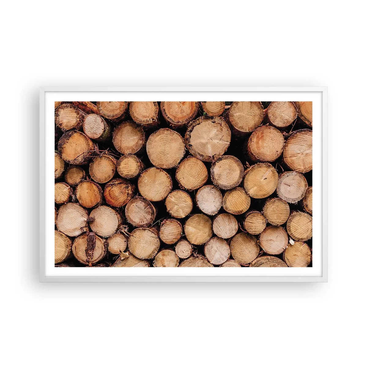 Affisch i vit ram - Ny början - 91x61 cm