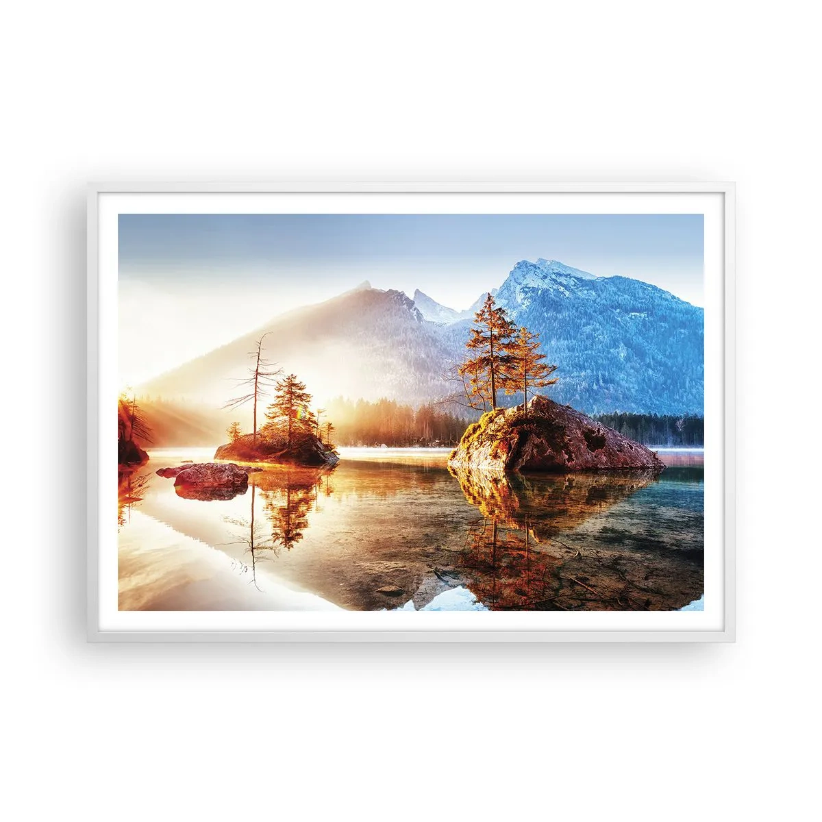 Affisch i vit ram - Naturen i ett nytt ljus - 100x70 cm