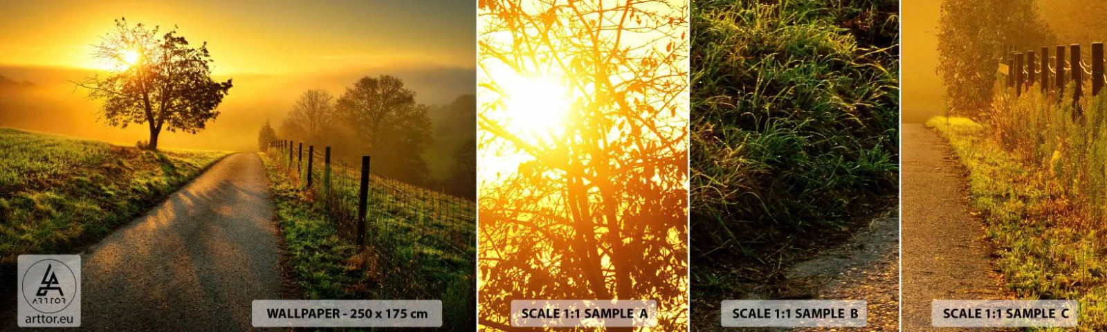 Fototapet Prov Standard Eco - Honungfärgad eftermiddag - Landskap, Grusväg, Äng - 100x30 cm