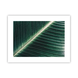 Affisch - Naturens rytm - 40x30 cm