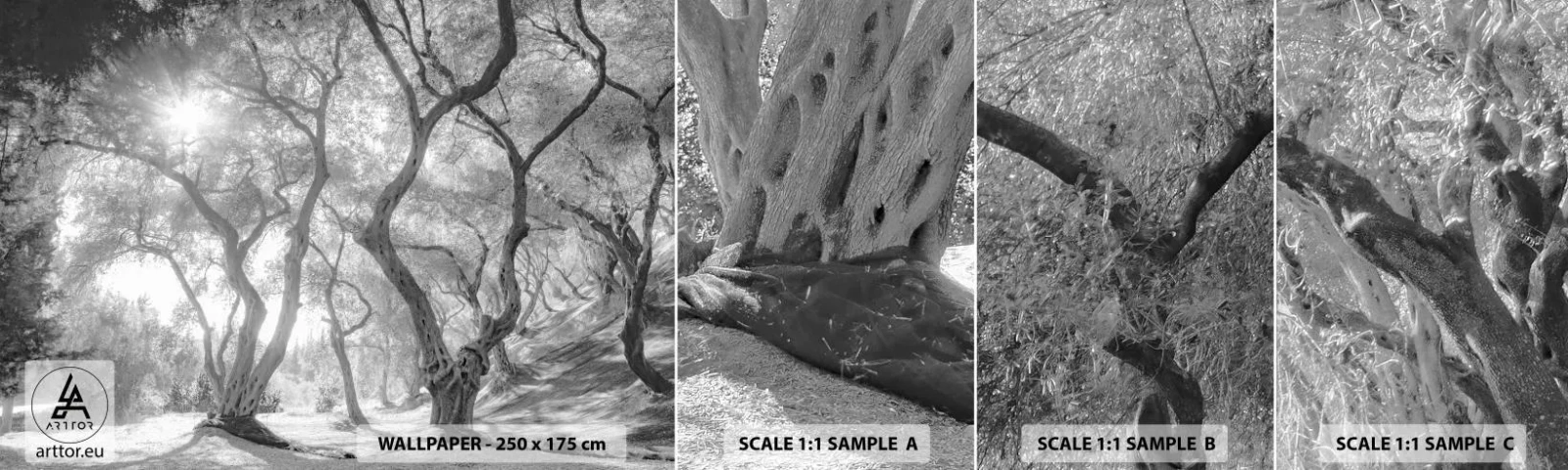 Provbit av självhäftande fototapet Deluxe Sticker - I en olivlund - Skog, Vinter, Träd - 100x30 cm