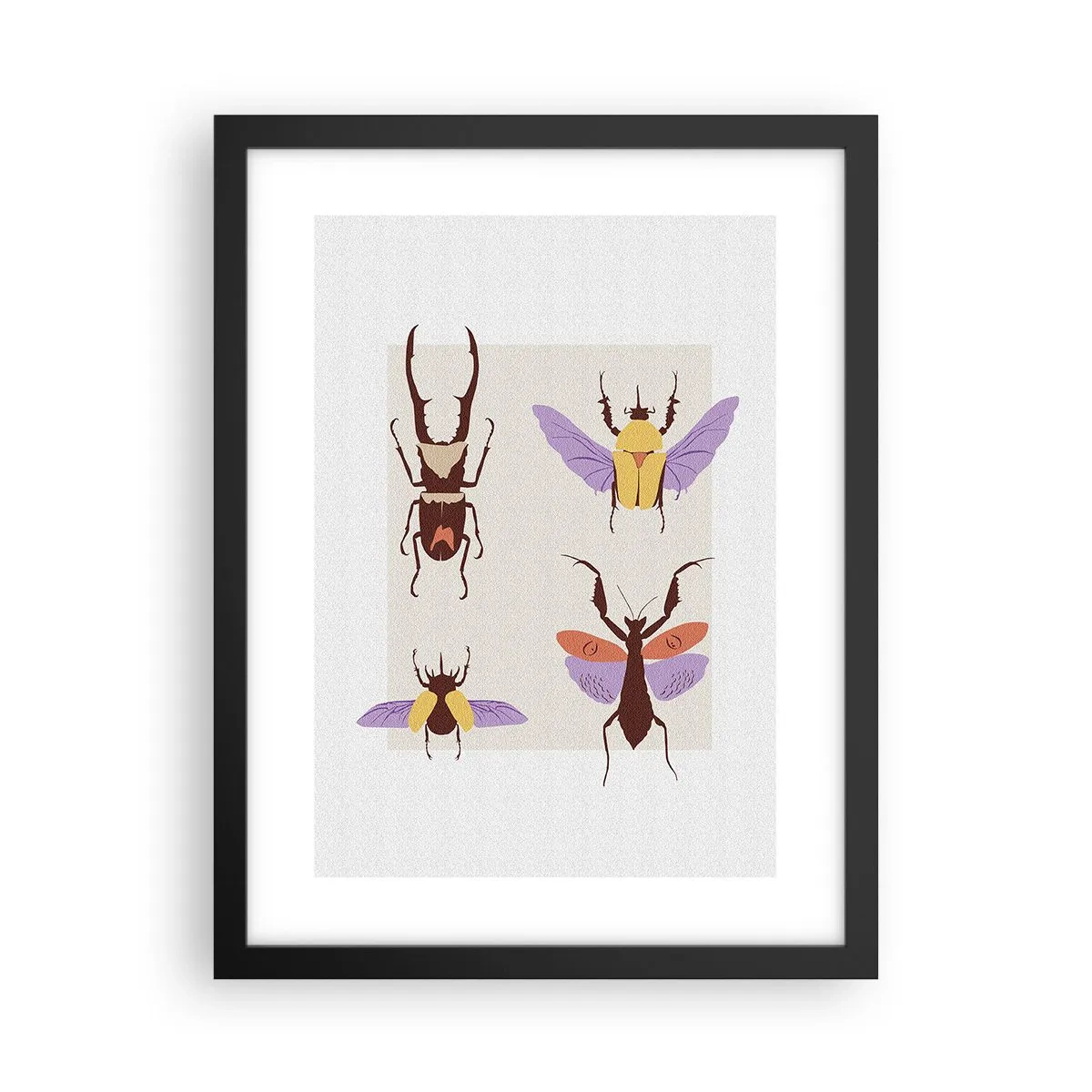 Affisch i svart ram - Insektsvärlden - 30x40 cm
