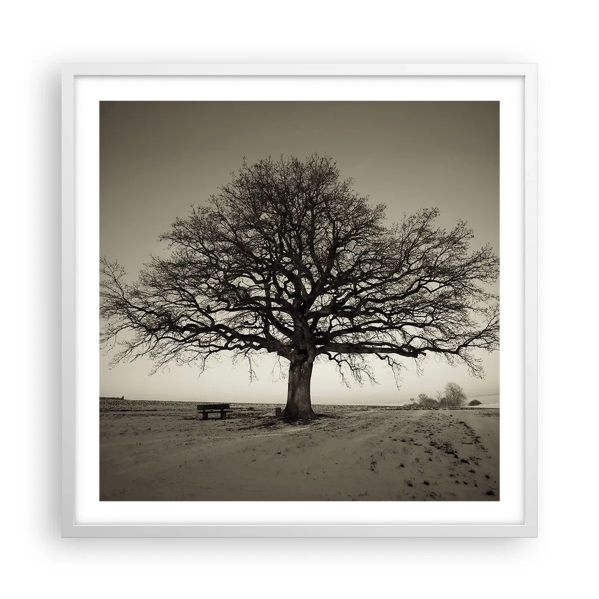 Affisch i vit ram - Härifrån till evighet - 60x60 cm