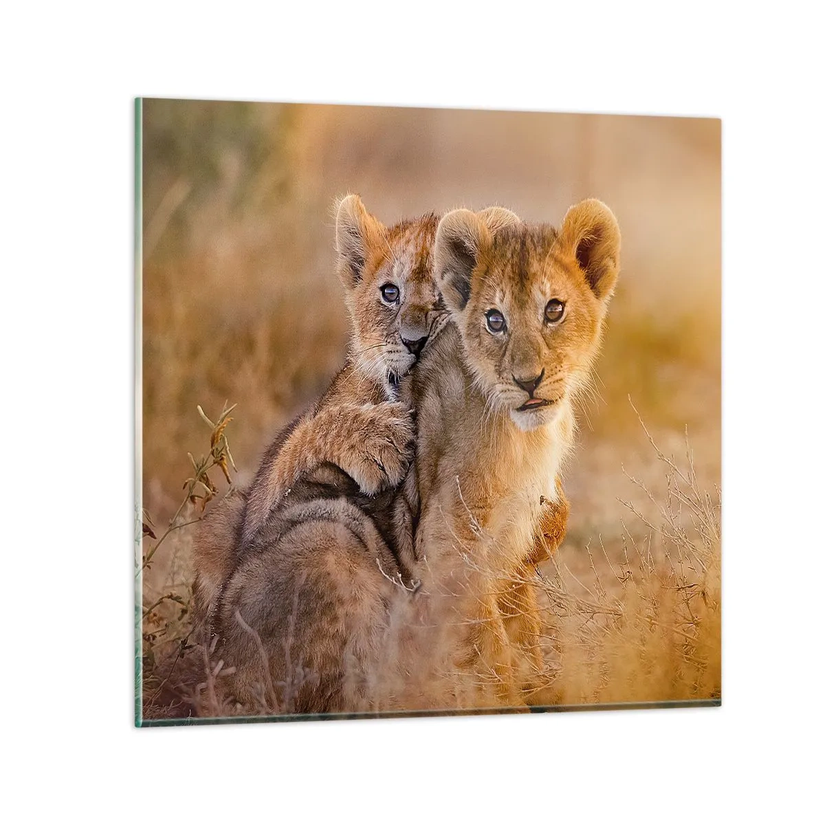 Glastavla - Bild på glas - Stör inte! Vi har kul - 40x40 cm