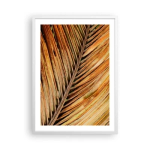 Affisch i vit ram - Kokosguld - 50x70 cm