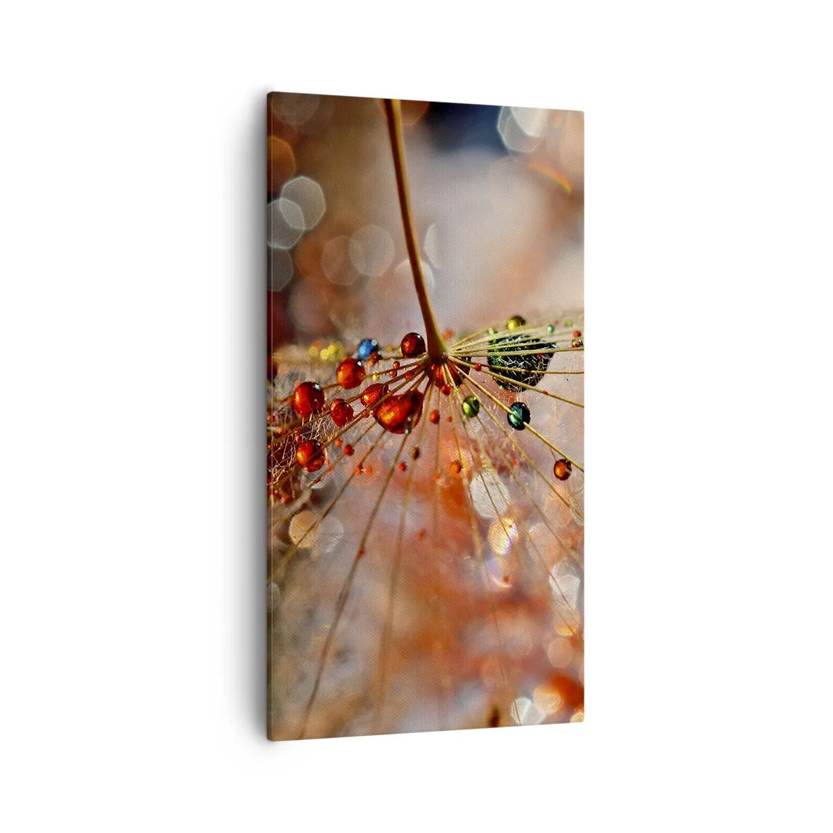 Canvastavla - Bild på duk - Trädda på spindelnät - 55x100 cm