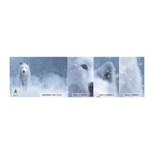 Fototapet Prov Standard Eco - I vinter anda - vit varg, Djur, Vinter - 100x30 cm