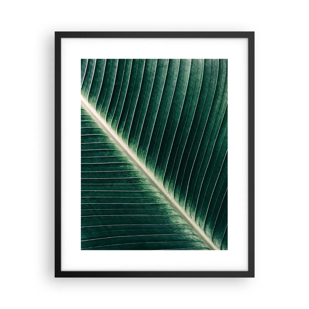 Affisch i svart ram - Naturens rytm - 40x50 cm