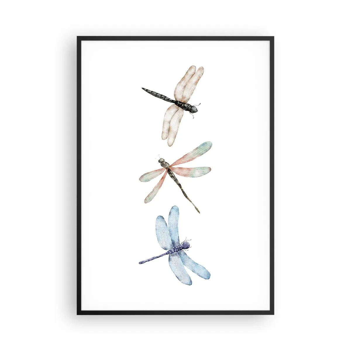 Affisch i svart ram - Viktlösa trollsländor - 70x100 cm
