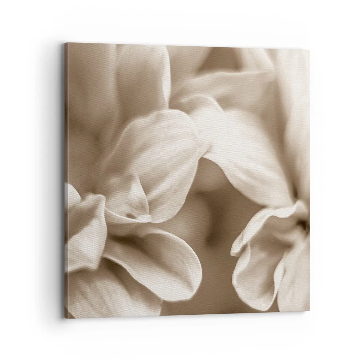 Canvastavla - Bild på duk - Milda som ett leende - 70x70 cm