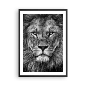 Affisch i svart ram - Svartvitt porträtt av ett majestätiskt lejon - 50x70cm - I kröningskläder - Modern väggdekoration för vardagsrum och sovrum ARTTOR