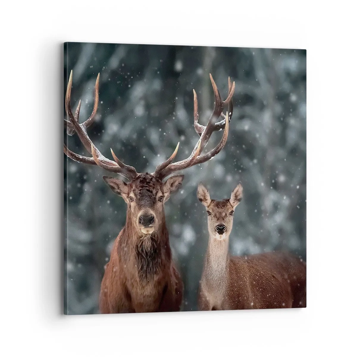 Canvastavla - Bild på duk - Skogens herre med hustrun - 70x70 cm