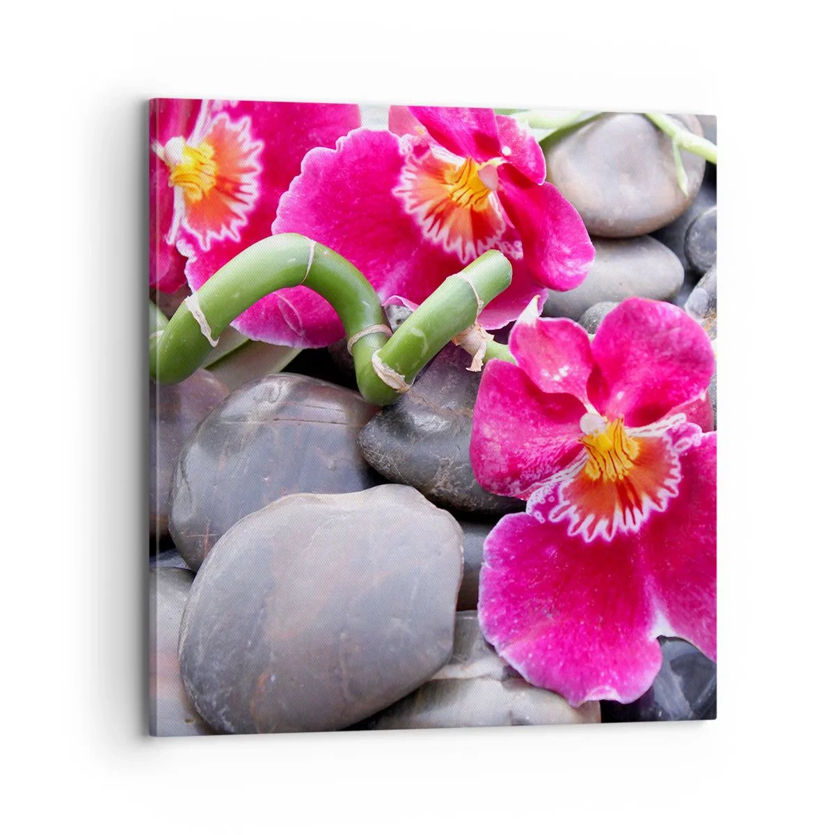 Canvastavla - Bild på duk - Kyla och glöd - 70x70 cm