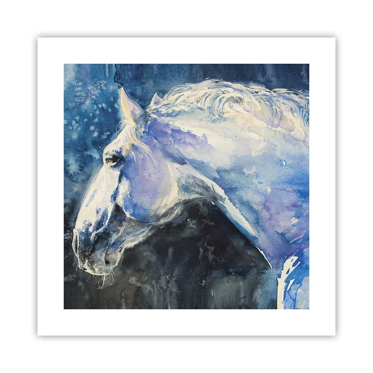 Affisch - Porträtt i blått sken - 40x40 cm