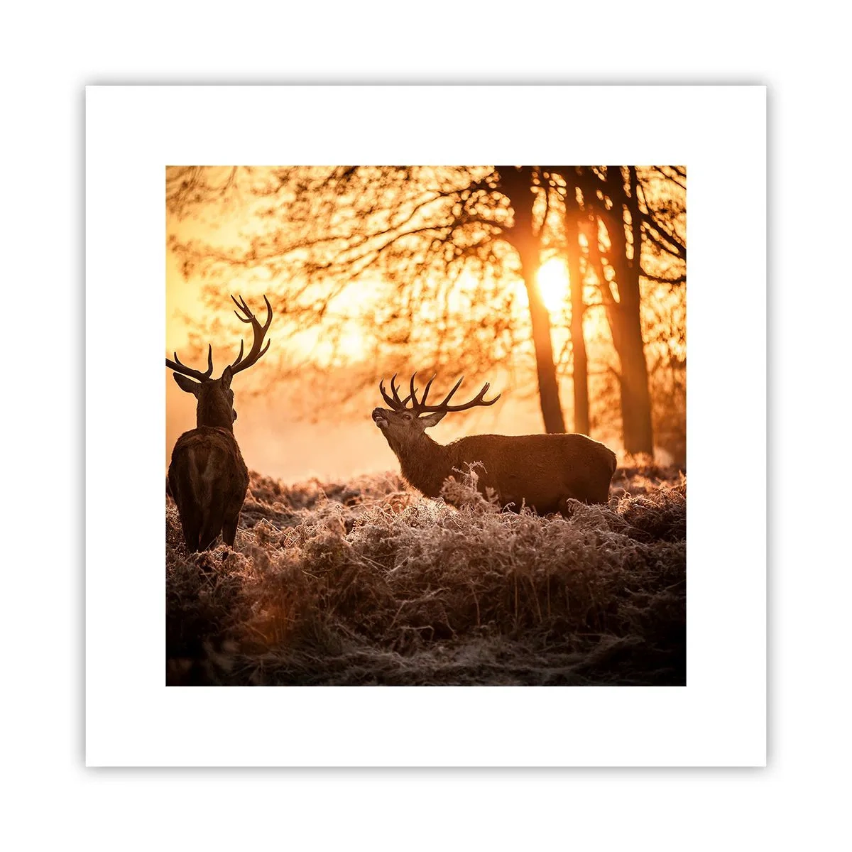 Affisch - Jägarens dröm - 30x30 cm