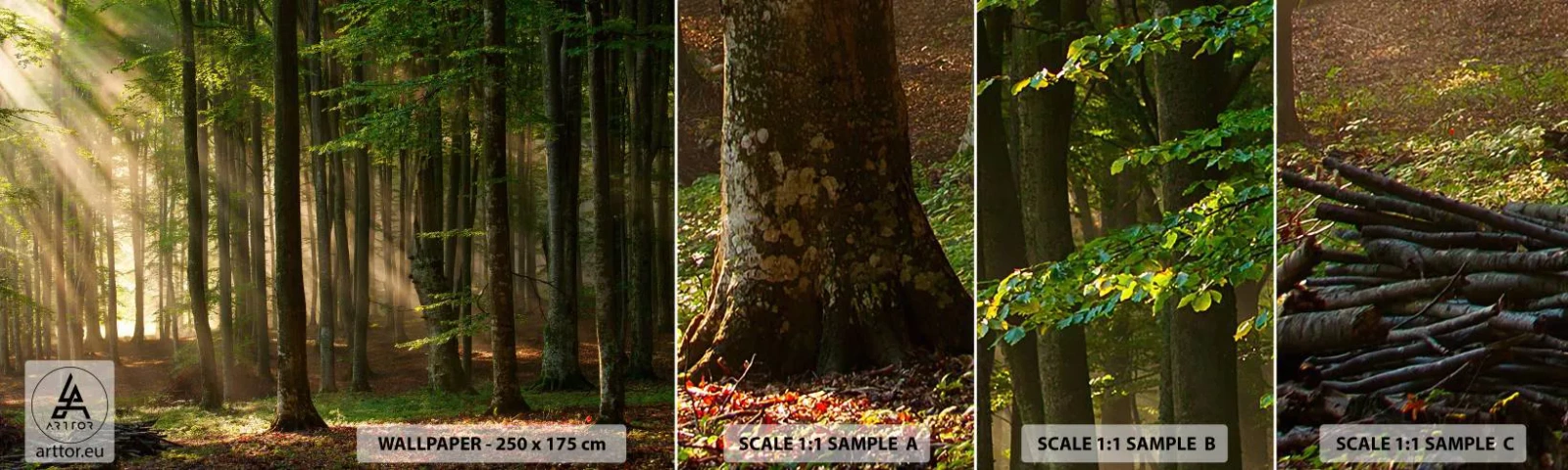 Fototapet Prov Standard Eco - Utstrålande på en vårmorgon - Landskap, Skog, Parkera - 100x30 cm