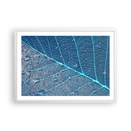 Affisch i vit ram - Livet i det blåa - 70x50 cm