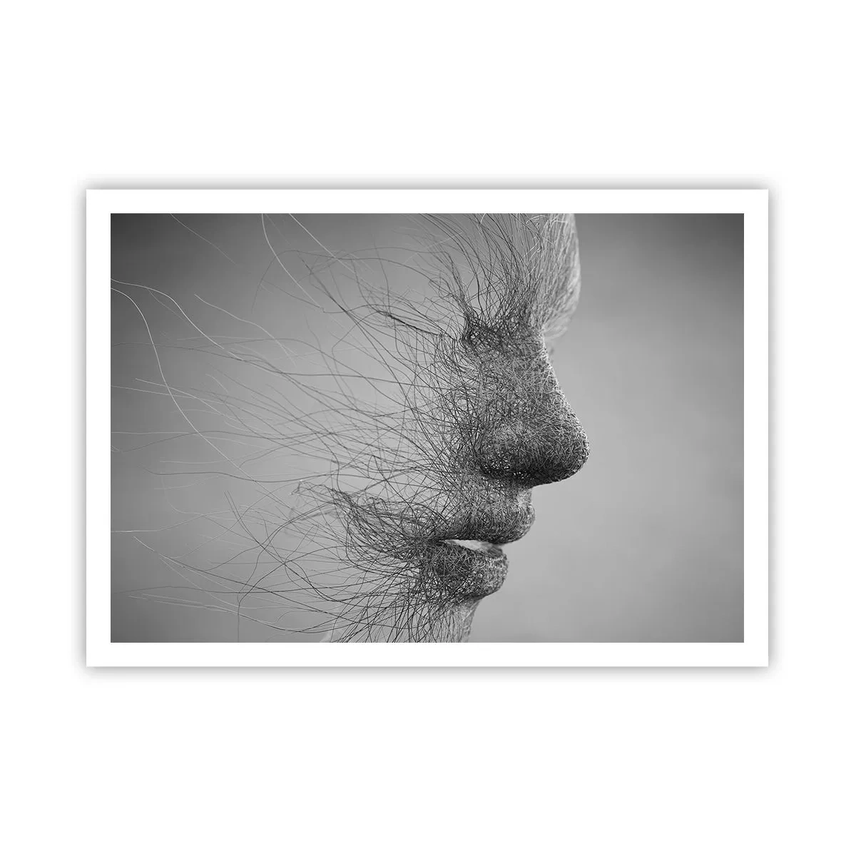 Affisch - Vindens ande - 100x70 cm