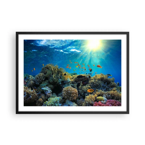 Affisch i svart ram - Undervatenskatter - 70x50 cm
