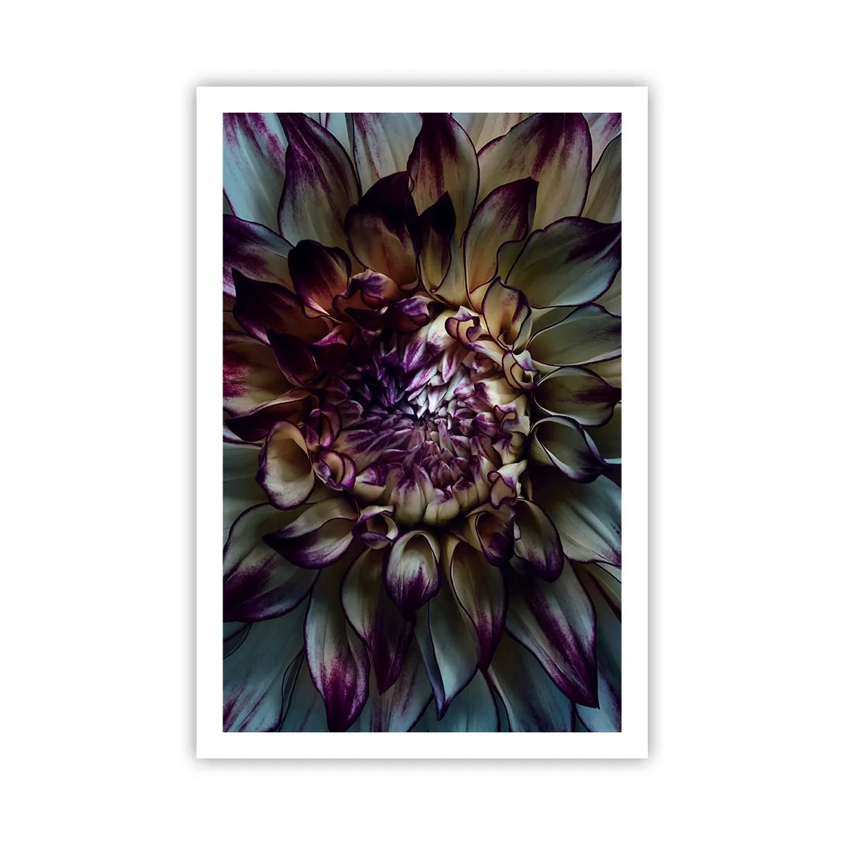 Affisch - Blommande ungdom - 61x91 cm