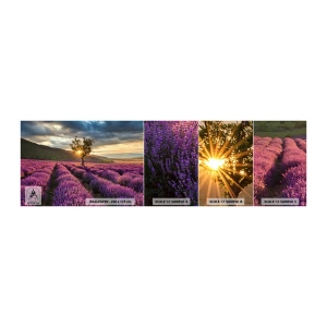 Fototapet Prov Standard Eco - Arom i lila färg - Landskap, Lavendel, Provence - 100x30 cm