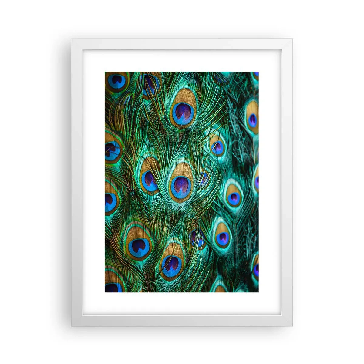 Affisch i vit ram - Påfågels blick - 30x40 cm
