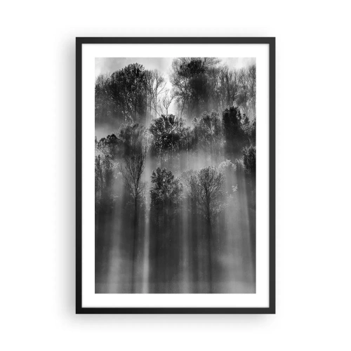 Affisch i svart ram - Svartvit skog i dimman med solstrålar - 50x70cm - I ljusstrålar - Modern väggdekoration för vardagsrum och sovrum ARTTOR