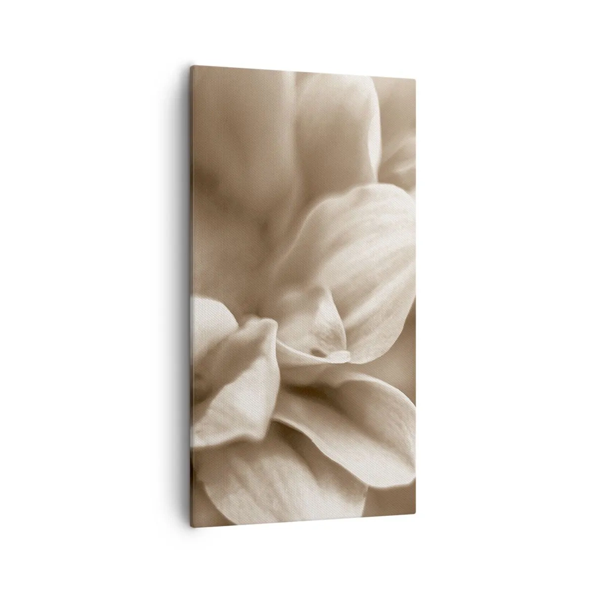 Canvastavla - Bild på duk - Milda som ett leende - 55x100 cm