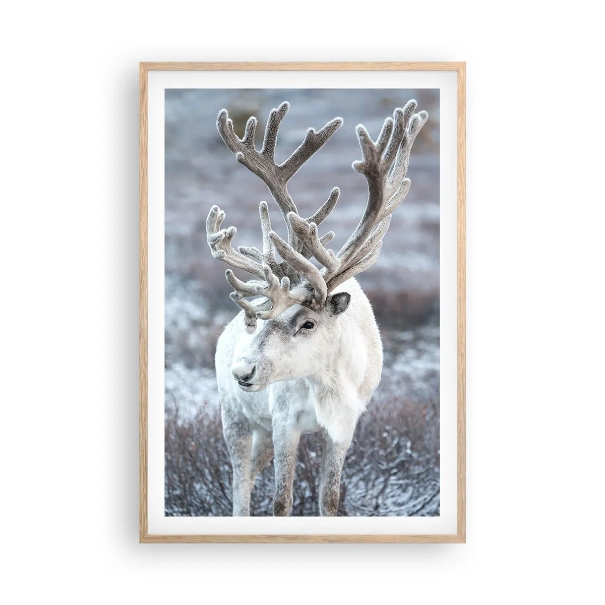 Affisch i ram av ljusek - Porträtt i solsken - 61x91 cm