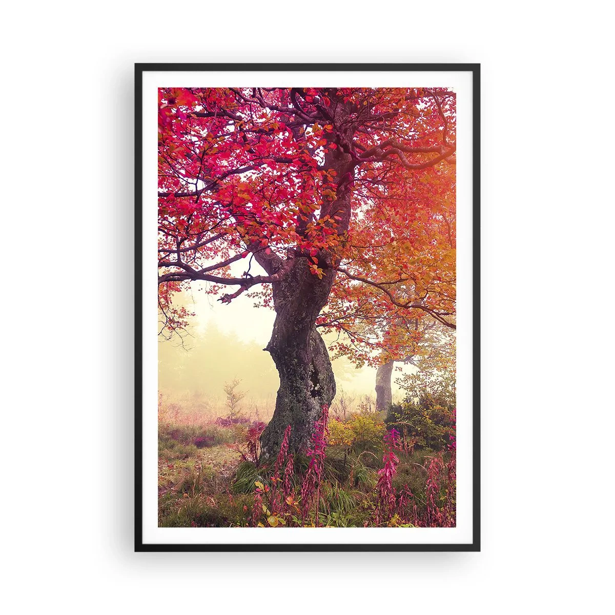 Affisch i svart ram - Våldsam blommande - 70x100 cm