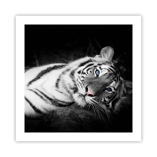 Affisch - Vildhet och lugn - 50x50 cm