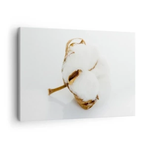 Canvastavla - Bild på duk - En bomullskvist mot en ljus bakgrund i minimalistisk stil - 70x50cm - Mjuk av naturen - Modern väggdekoration för vardagsrum och sovrum ARTTOR