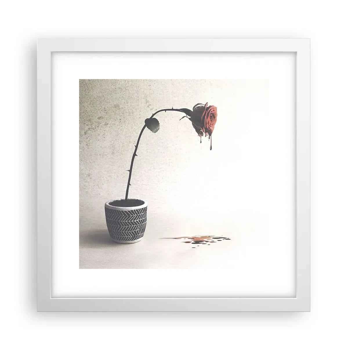 Affisch i vit ram - Rosa dolorosa - 30x30 cm