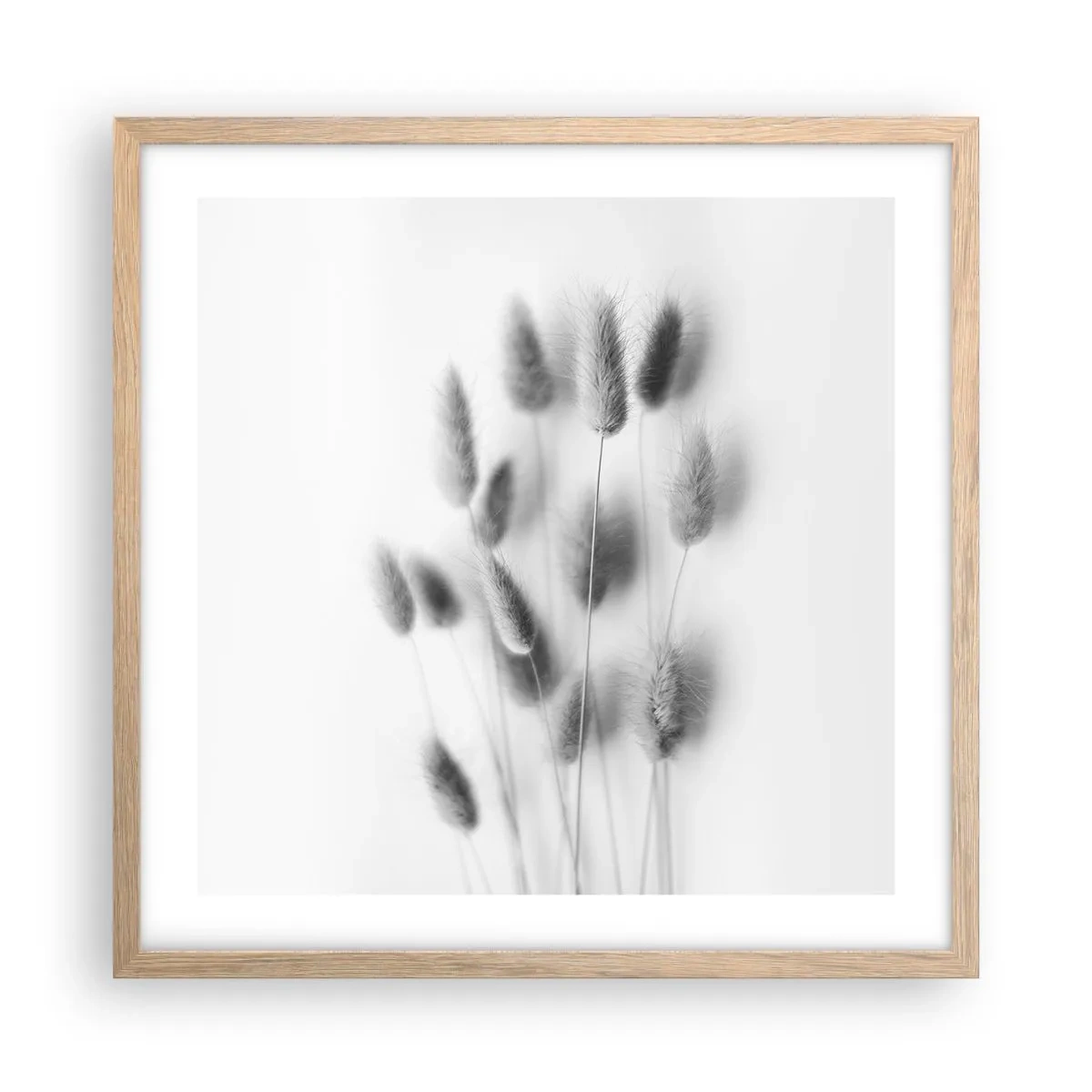 Affisch i ram av ljusek - Fluffigt gräs - 50x50 cm