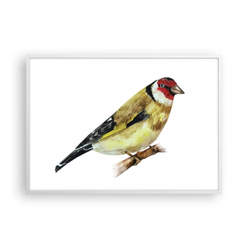 Affisch i vit ram - Fågelporträtt - 100x70 cm