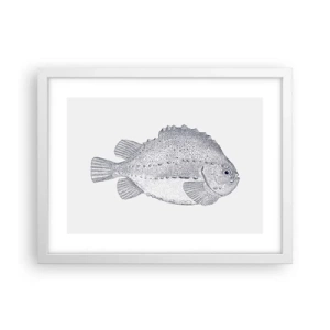 Affisch i vit ram - Till naturforskarens album - 40x30 cm
