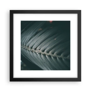 Affisch i svart ram - Naturens precision - 30x30 cm