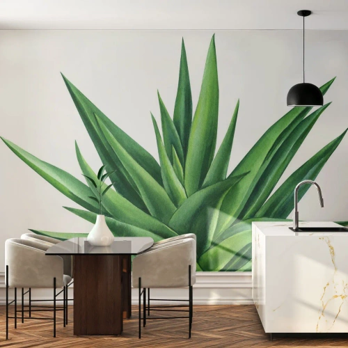 Fototapet Premium Sand - Grönt - styrka - liv - Växt, Aloe, Botanik - 100x70 cm