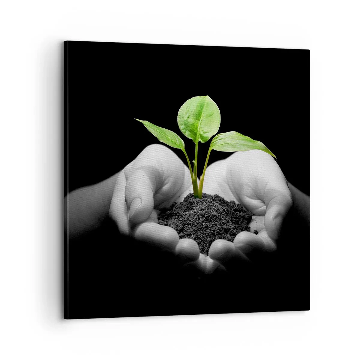 Canvastavla - Bild på duk - Jag älskar naturen och skyddar den - 60x60 cm